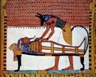 Anubis