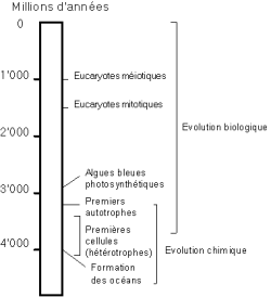 chronologie de la vie