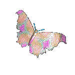 papillon