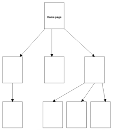 Organisation hiérarchique