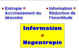 Information et néguentropie