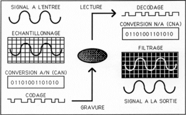 Numérisation