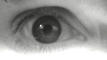 oeil