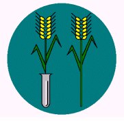 OGM