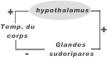 homeostasis